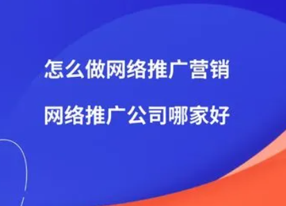 网络销售推广